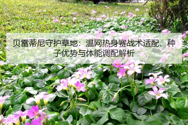 bei-lei-di-ni-shou-hu-cao-di-wen-wang-re-shen-sai-zhan-shu-shi-pei-zhong-zi-you-shi-yu-ti-neng-diao-pei-jie-xi-3-780.jpg