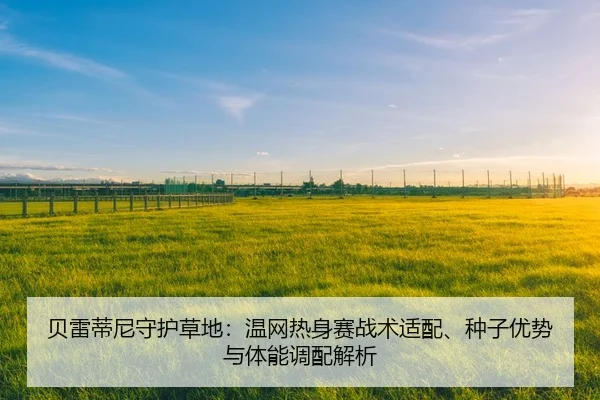 贝雷蒂尼守护草地：温网热身赛战术适配、种子优势与体能调配解析