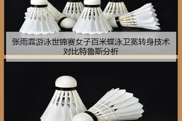 zhang-yu-fei-you-yong-shi-jin-sai-nv-zi-bai-mi-die-yong-wei-mian-zhuan-shen-ji-shu-dui-bi-te-lu-si-fen-xi-2-528.jpg